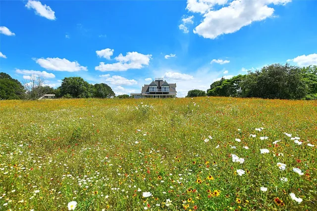 a view of a lake with a yard