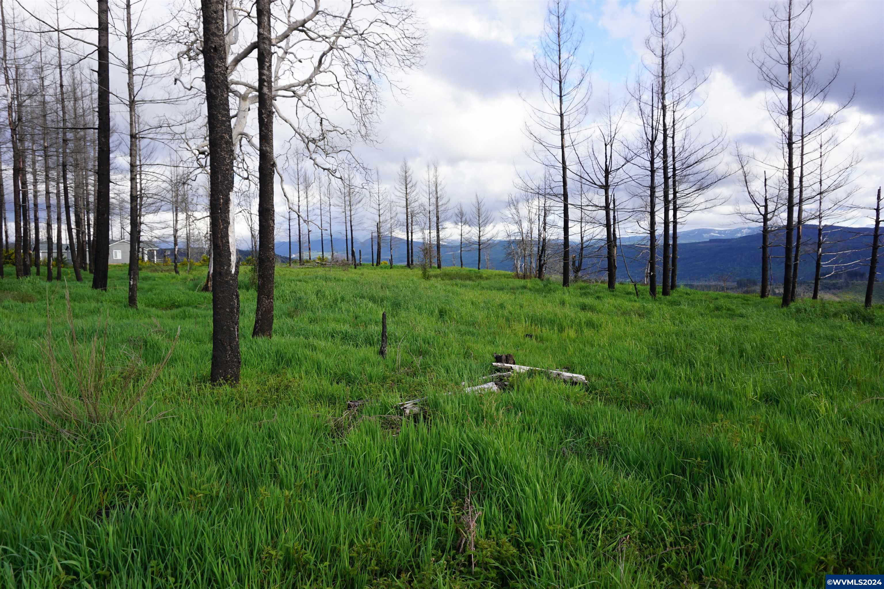 900 Wagner Road Lyons, OR 97358 - Photo 16 of 30