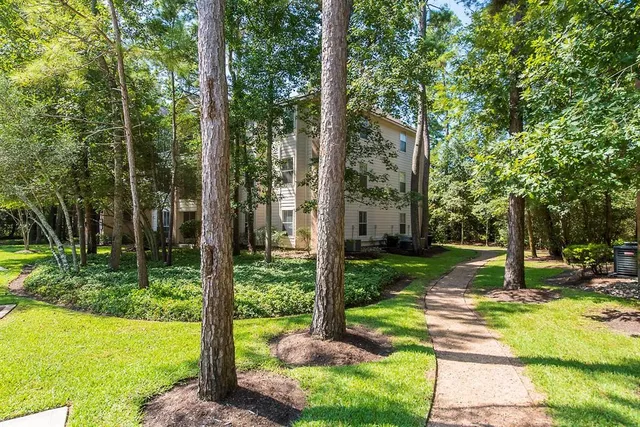 a view of a garden with a fountain