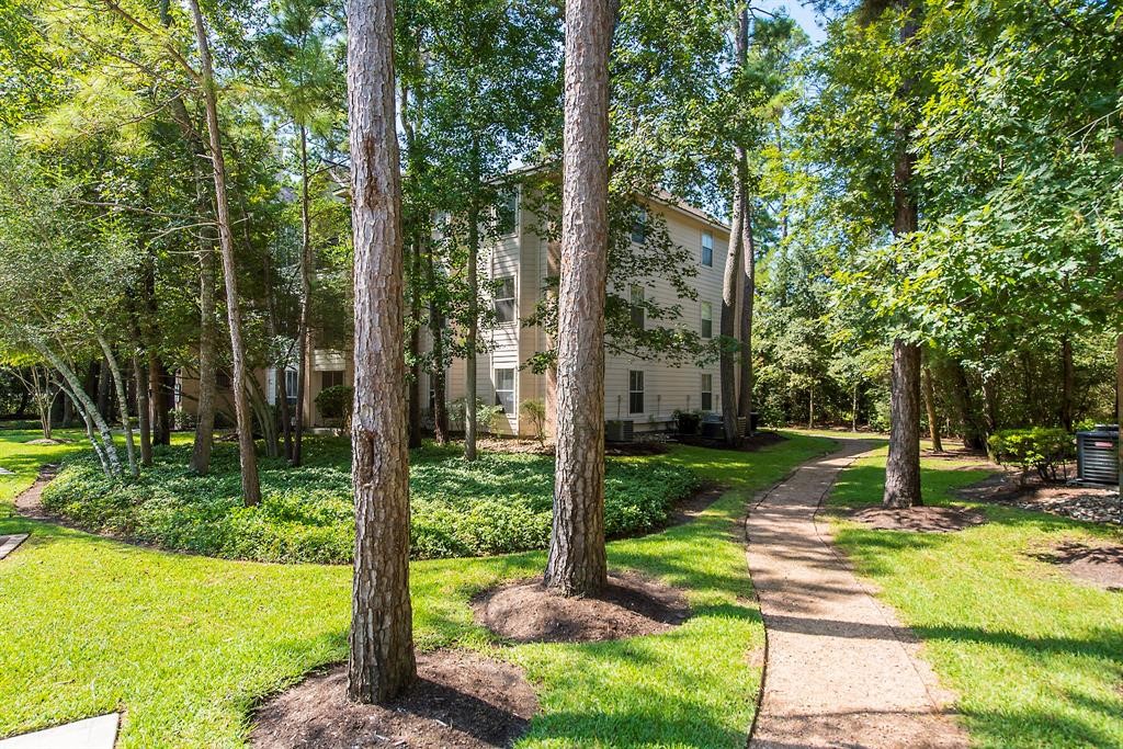 8051 Bay Branch Drive, Unit 312 The Woodlands, TX 77382 - Photo 19 of 22 a view of a garden with a fountain