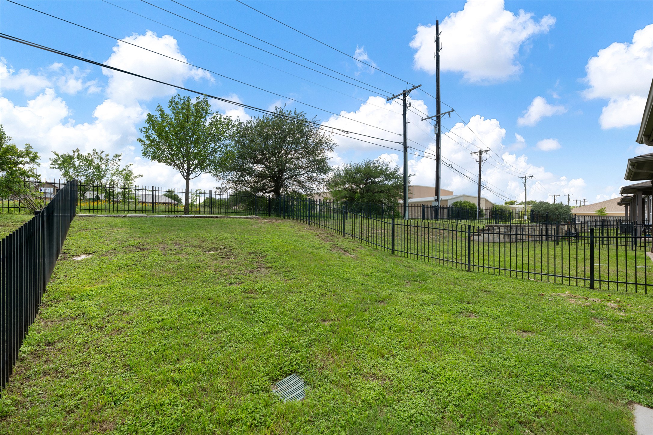211 Parable Cove Pflugerville, TX 78660 - Photo 37 of 40 Expansive grassy area featuring a black metal perimeter fence and mature trees
