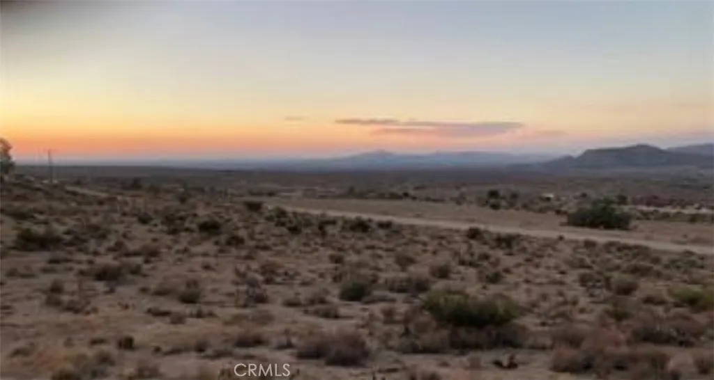 a view of a field with trees in background