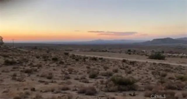 an aerial view of houses covered in trees