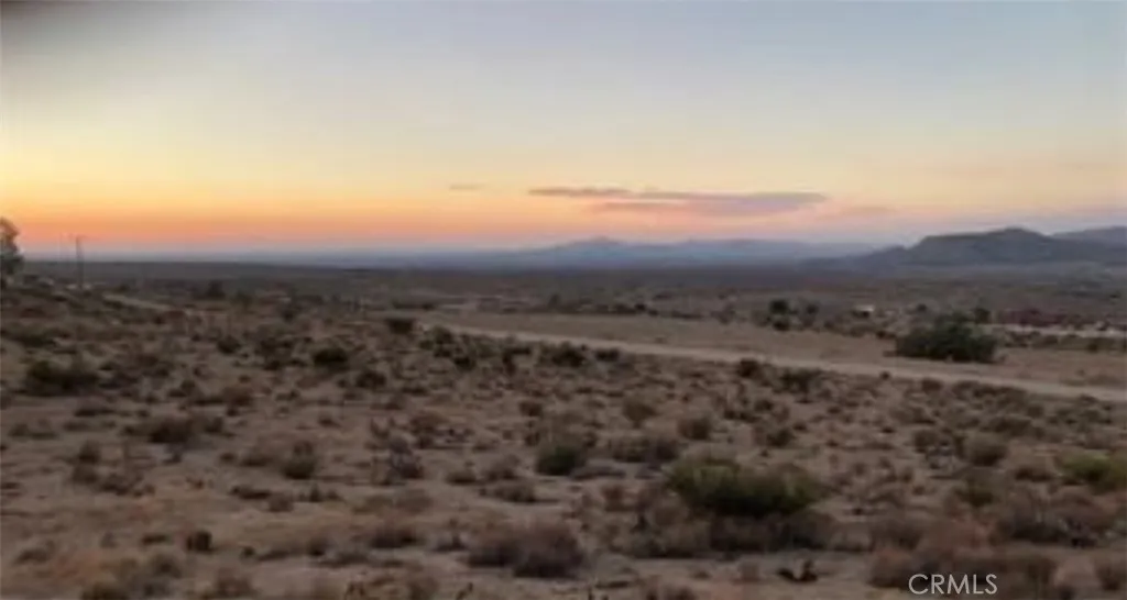 an aerial view of houses covered in trees