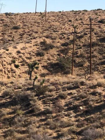 a view of a dry yard