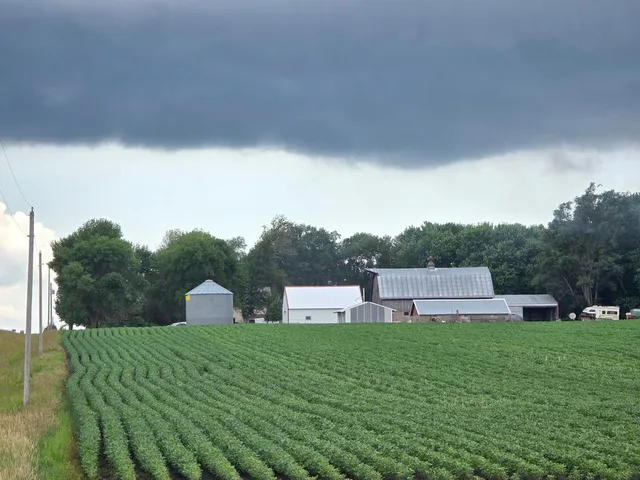 $374,900 | 1178 210th Street, Trimont, MN 56176