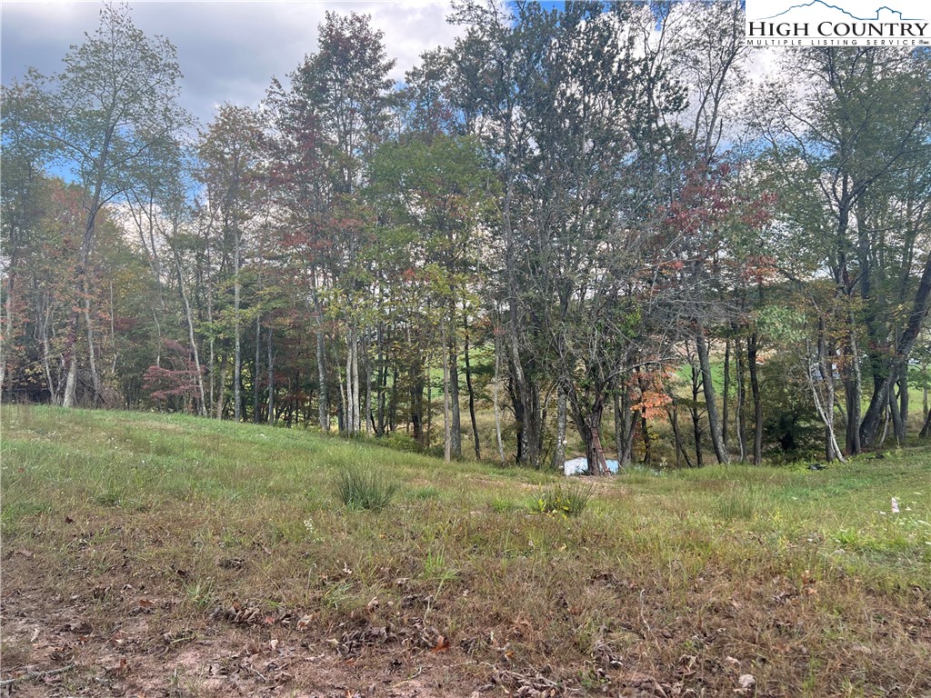 Busic Ridge, Unit 7 Sparta, NC 28675 - Photo 2 of 3 Gallery Image 2