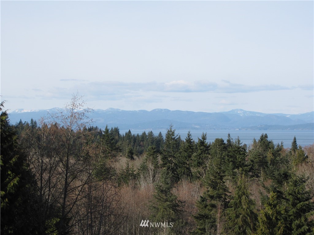 1664 Freshwater Bay Road Port Angeles, WA 98363 - Photo 2 of 24 Gallery Image 2