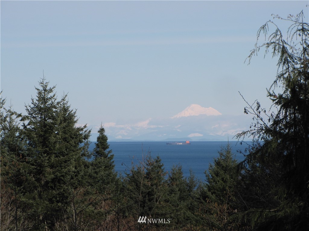 1664 Freshwater Bay Road Port Angeles, WA 98363 - Photo 3 of 24 Gallery Image 3