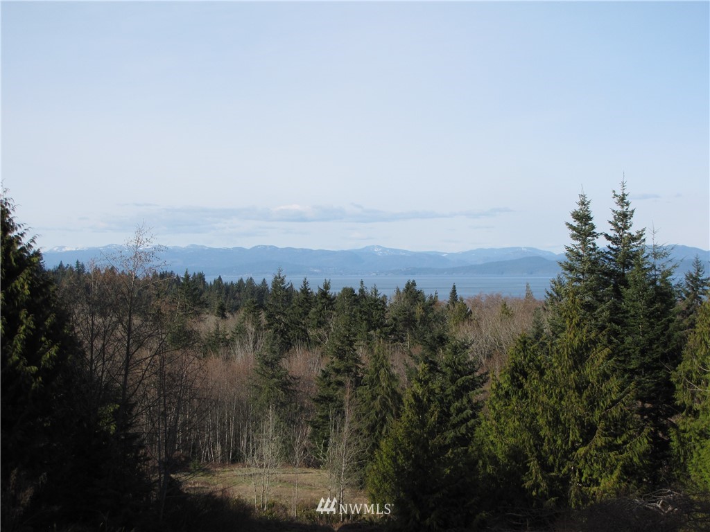 1664 Freshwater Bay Road Port Angeles, WA 98363 - Photo 4 of 24 Gallery Image 4
