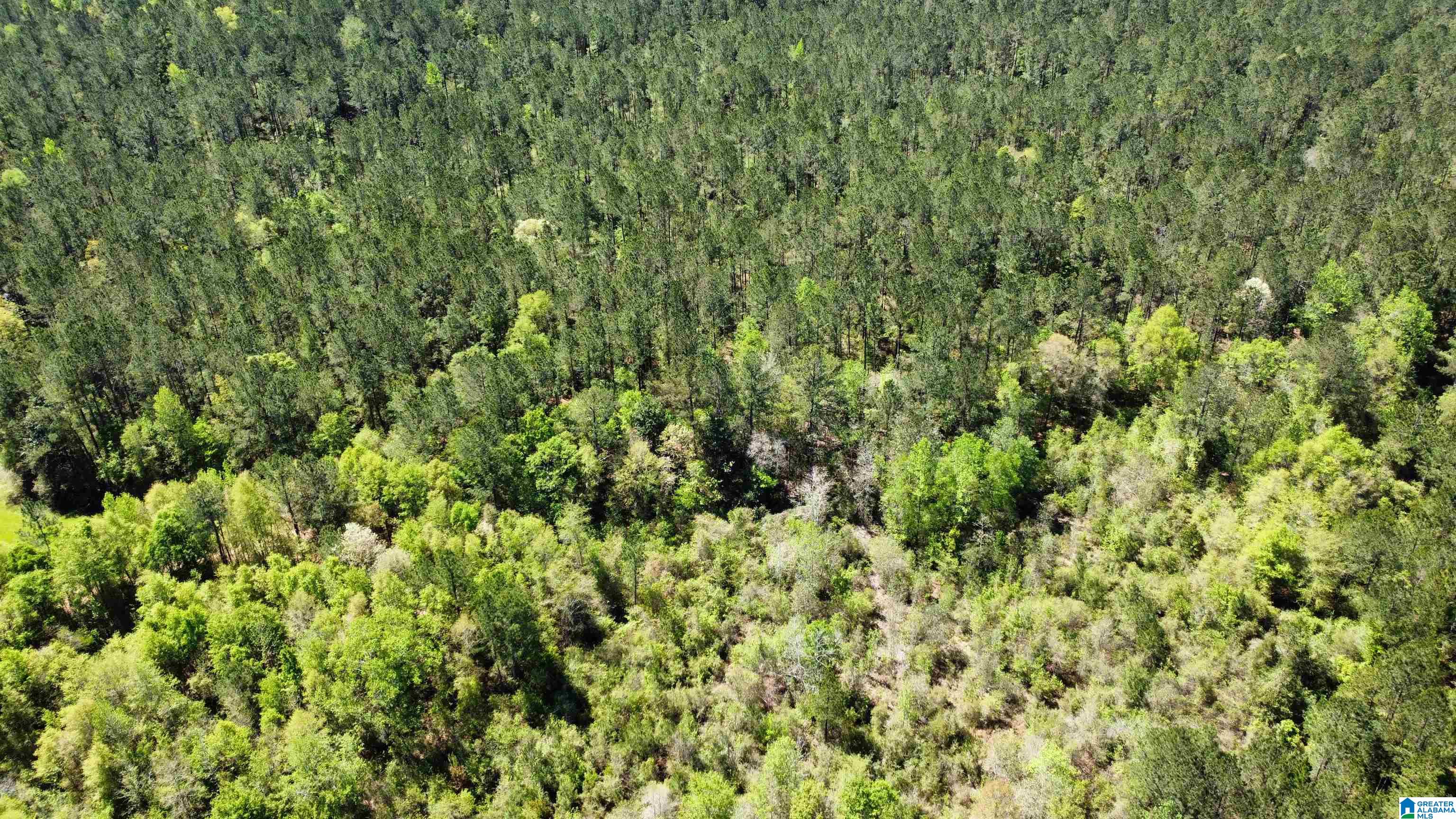 0 Richardson Road Brewton, AL 36426 - Photo 10 of 47