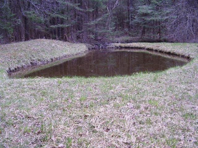 4143 Kneeland Road Lewiston, MI 49756 - Photo 23 of 24 Gallery Image 23