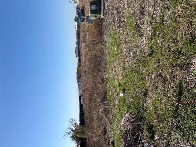 420 Arrowhead Cove Kyle, TX 78640 - Photo 4 of 7 a view of a dry yard with trees