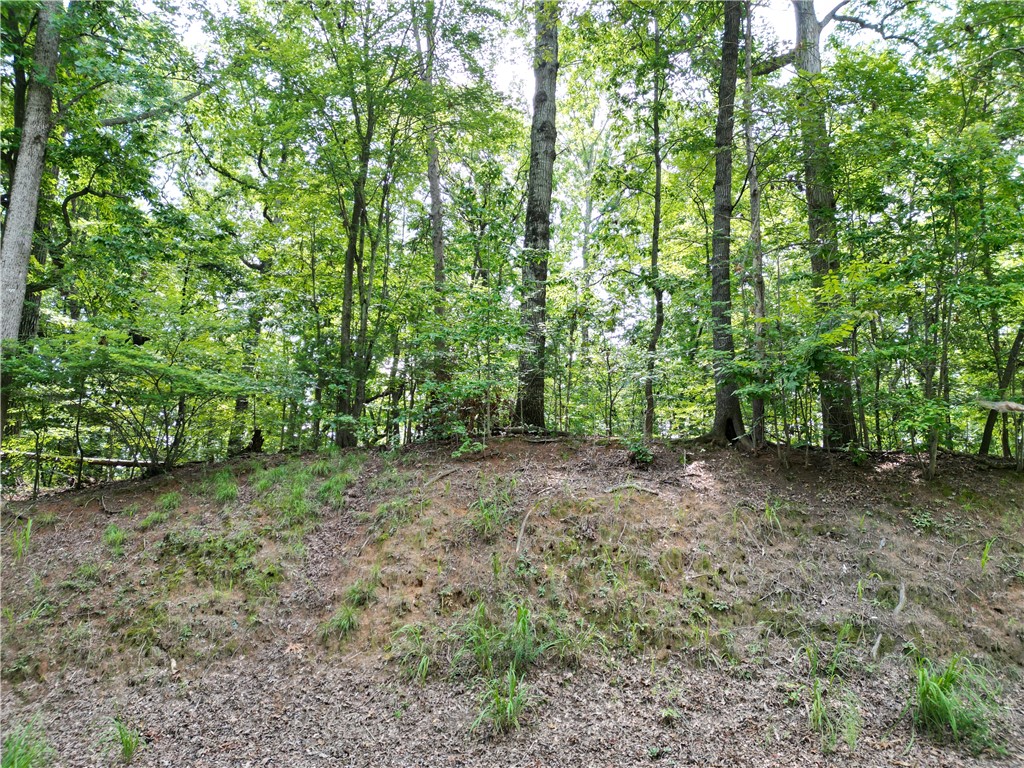1654 Point Road Westminster, SC 29693 - Photo 2 of 14 Lot from street view