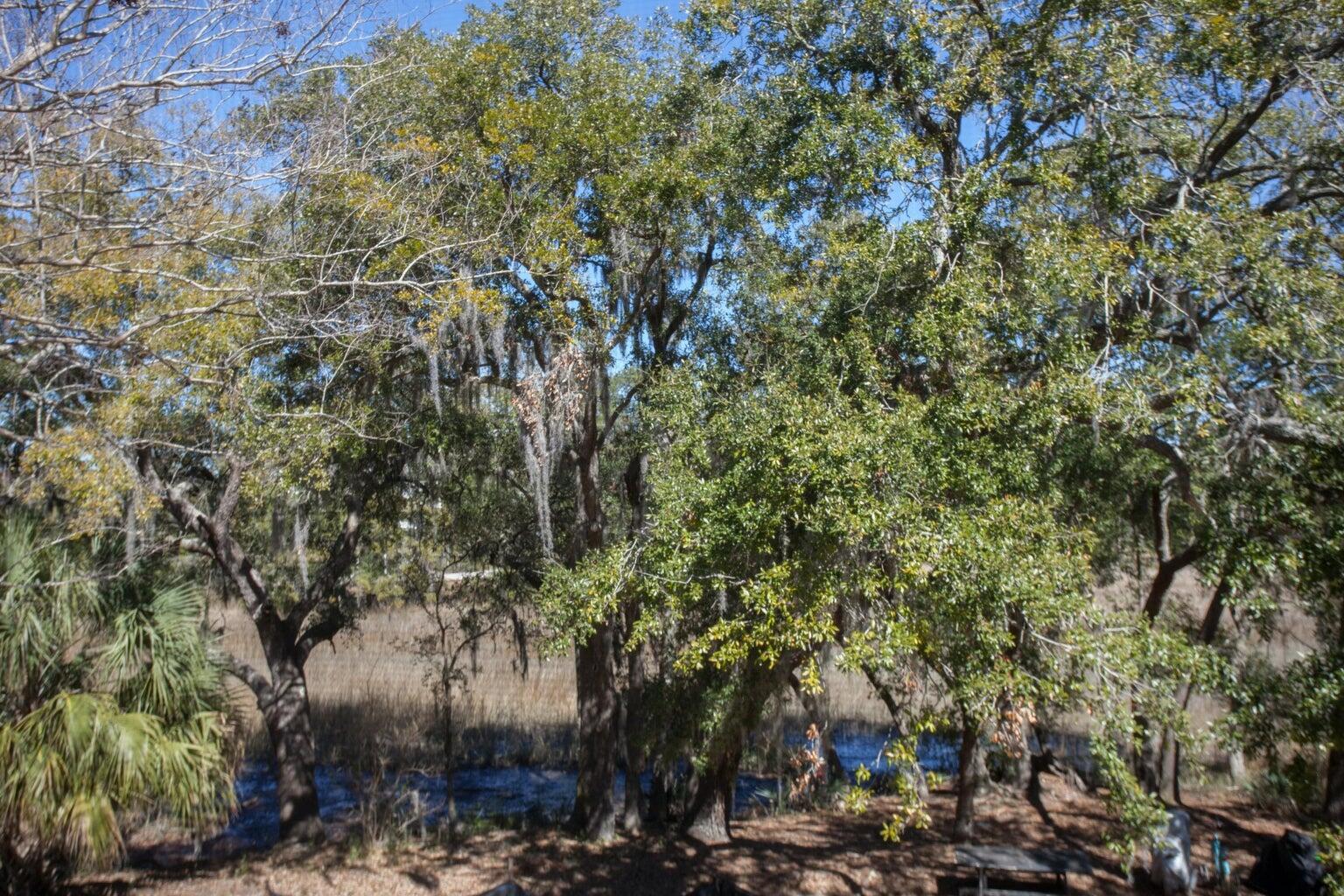 130 River Landing Drive, Unit 8209 Charleston, SC 29492 - Photo 14 of 59 20250301170906762075000000-o