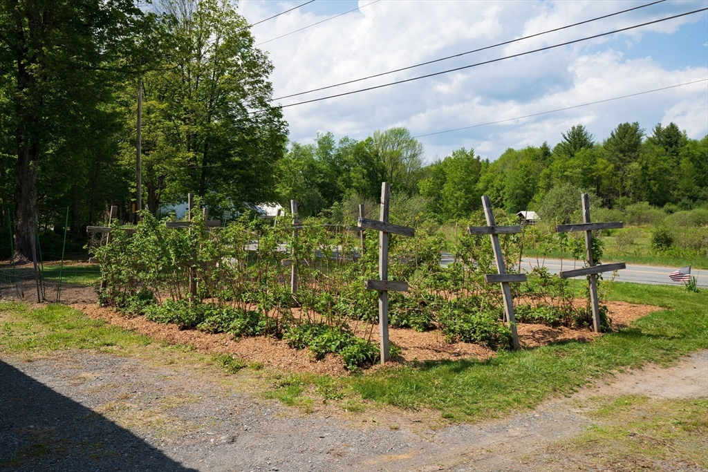 425 Dingle Road Worthington, MA 01098 - Photo 23 of 32 a view of a yard with plants and a bench