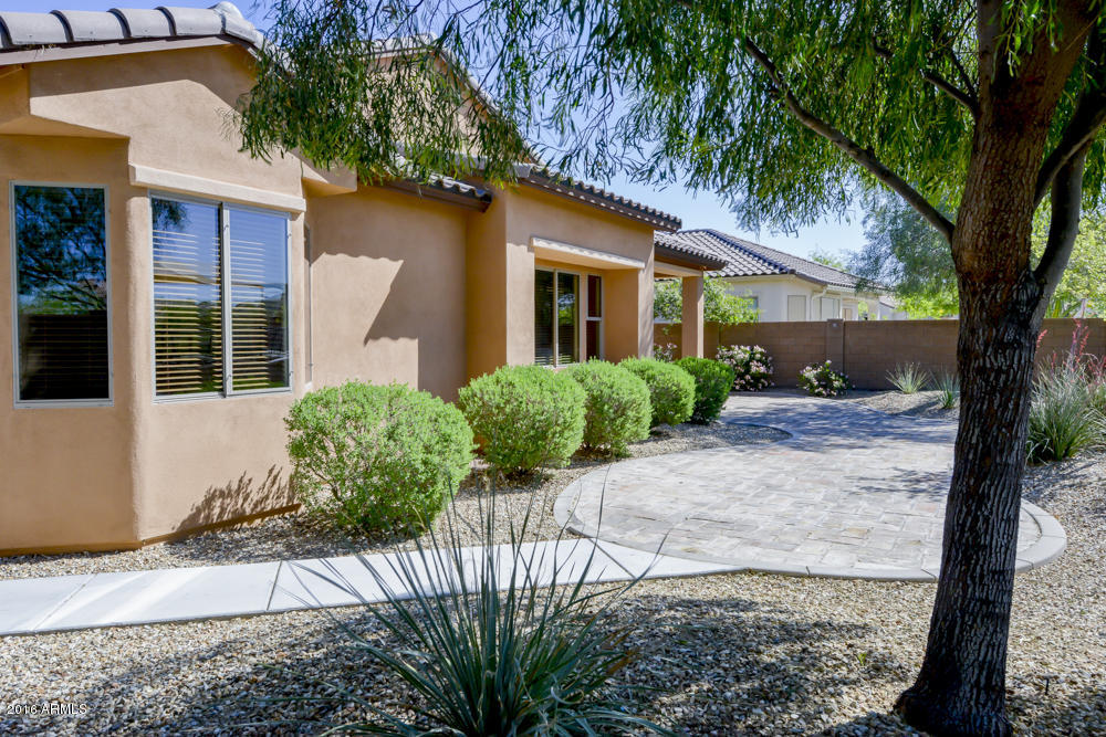 17551 West Verdin Road Goodyear, AZ 85338 - Photo 22 of 27 _DSC7975