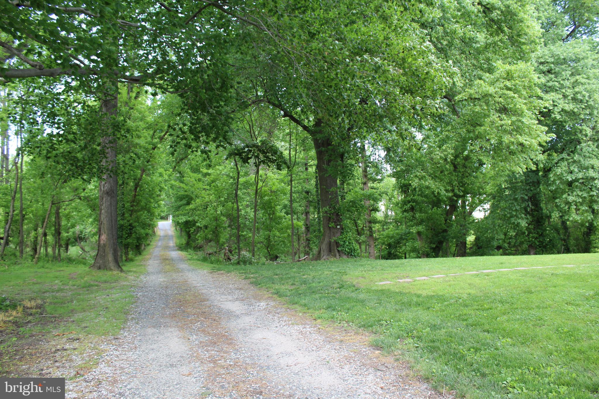 4824 Montgomery Road Ellicott City, MD 21043 - Photo 3 of 84 Huge grand driveway from Montgomery Rd.