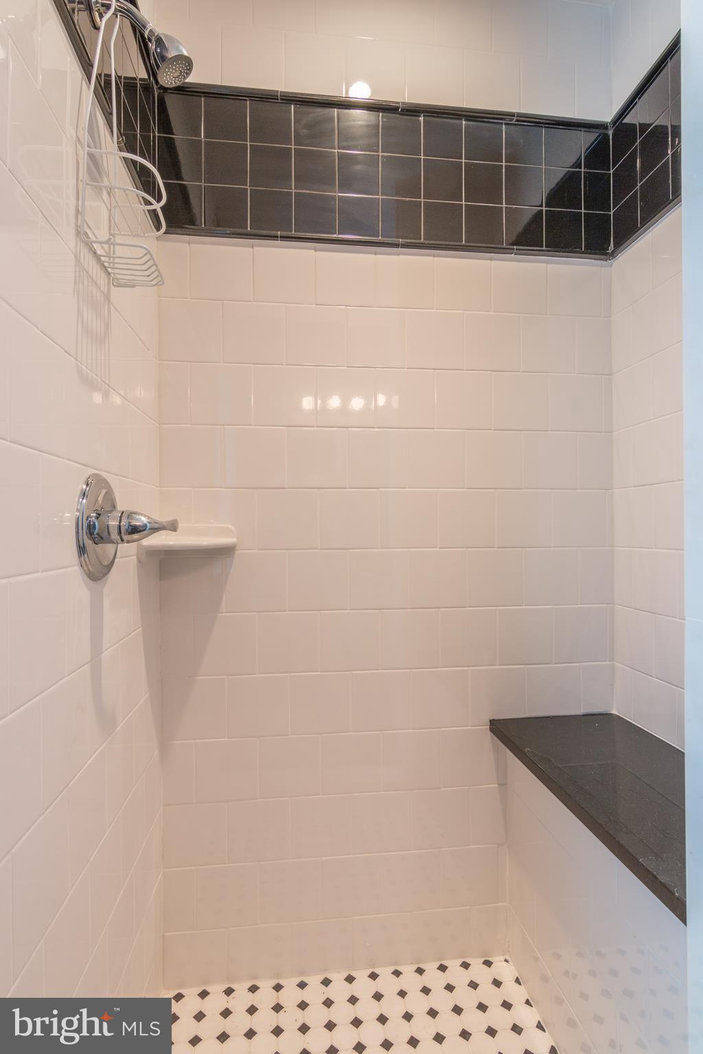 4824 Montgomery Road Ellicott City, MD 21043 - Photo 64 of 84 ,Full Bath #3 walk in custom shower second level