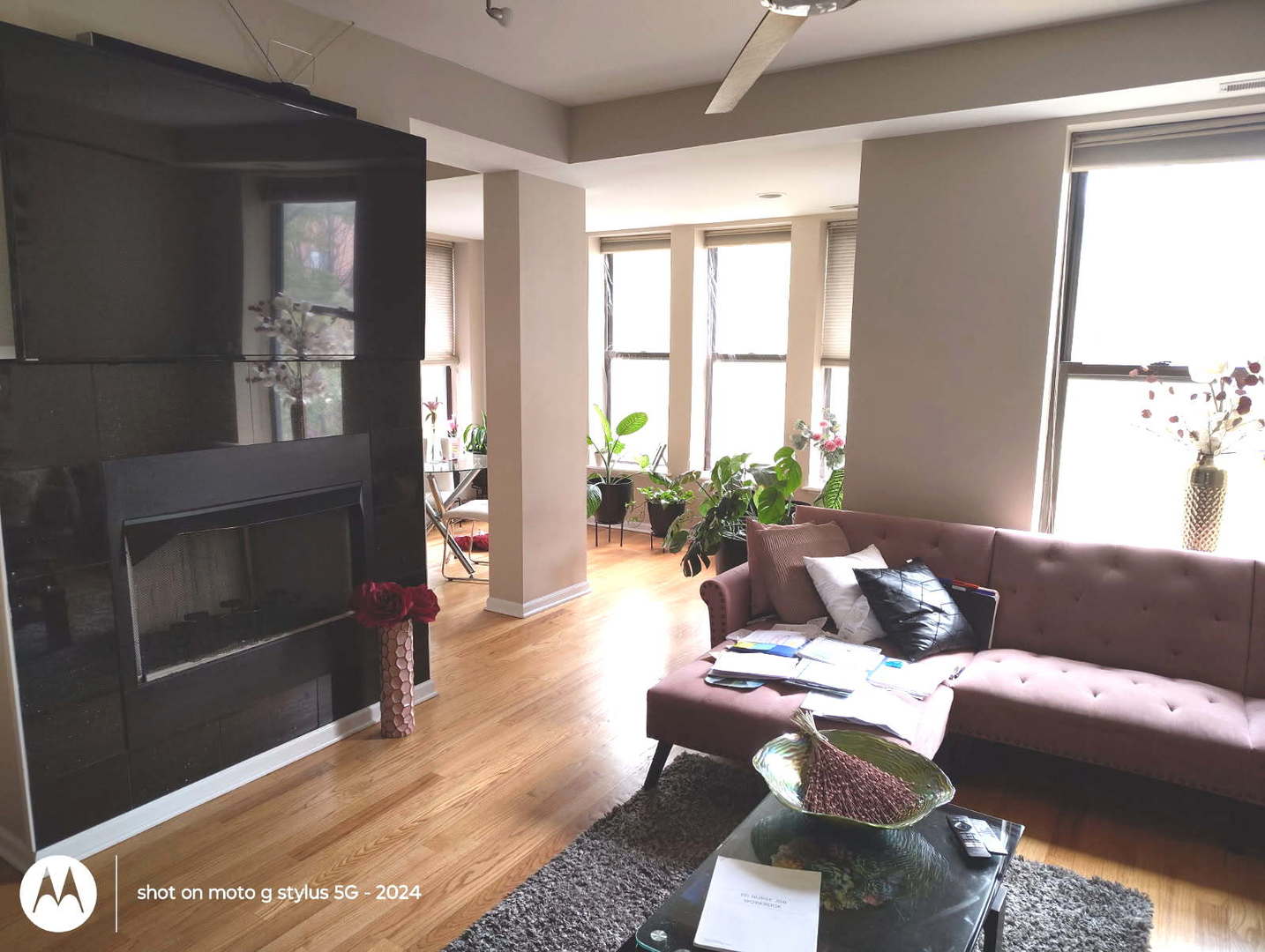 4740 South Ingleside Avenue, Unit 2N Chicago, IL 60615 - Photo 3 of 12 a living room with furniture and a window
