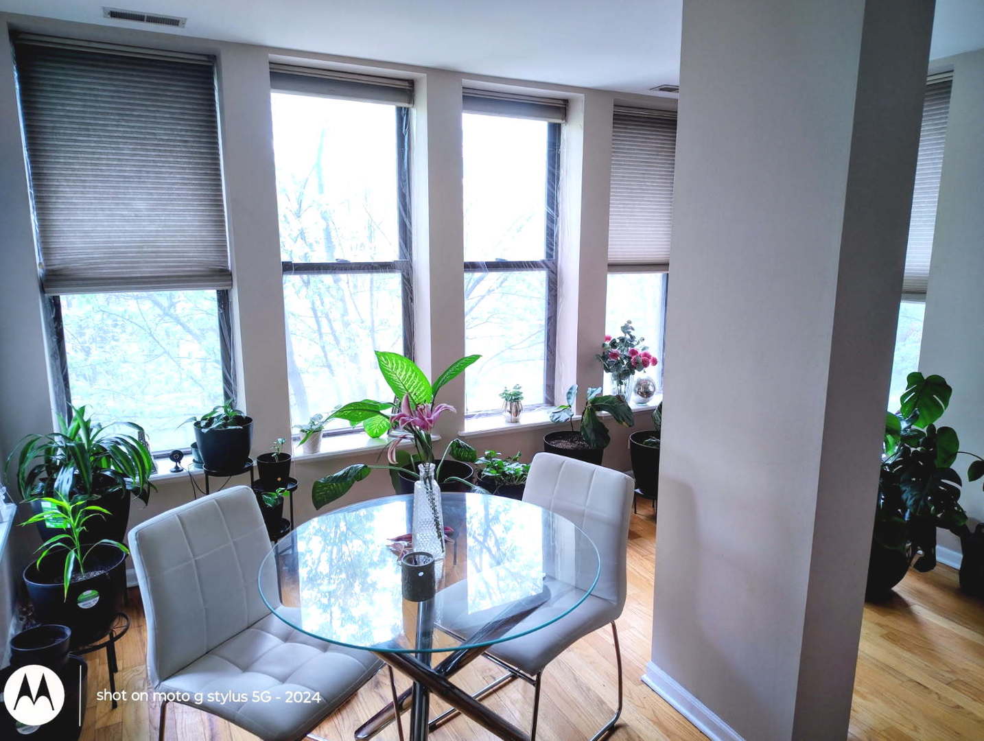 4740 South Ingleside Avenue, Unit 2N Chicago, IL 60615 - Photo 4 of 12 a dining room with furniture potted plants and wooden floor