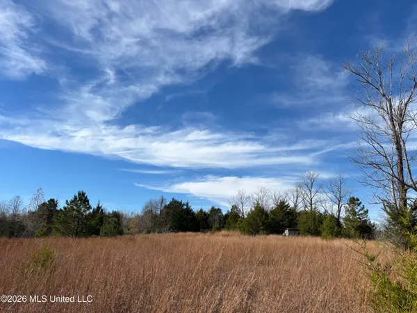 $469,000 | 49 Us, Yazoo City, MS 39194