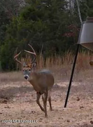 $469,000 | 49 Us, Yazoo City, MS 39194