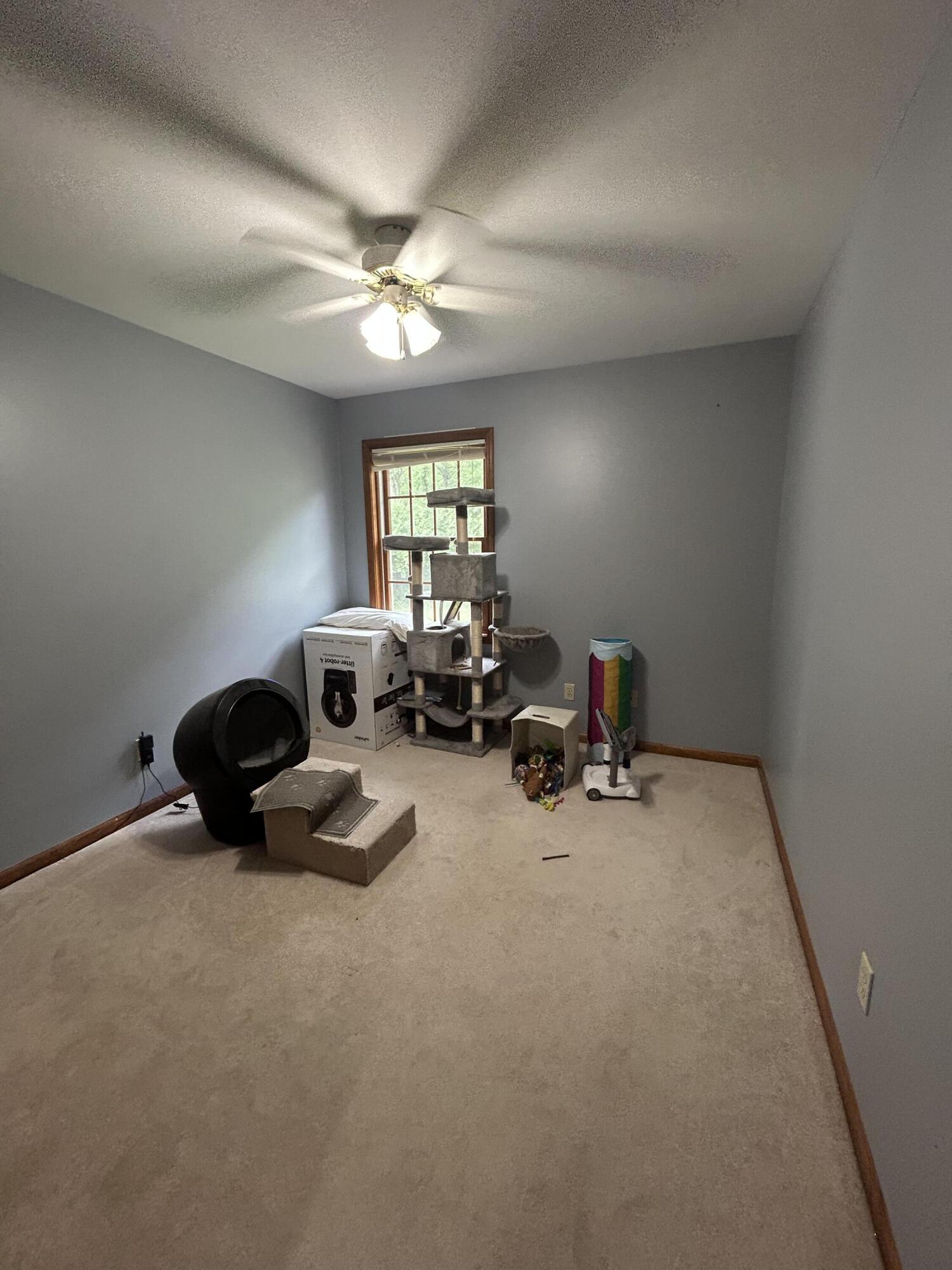 8876 North Lilac Street Demotte, IN 46310 - Photo 15 of 23 a room with furniture and a ceiling fan