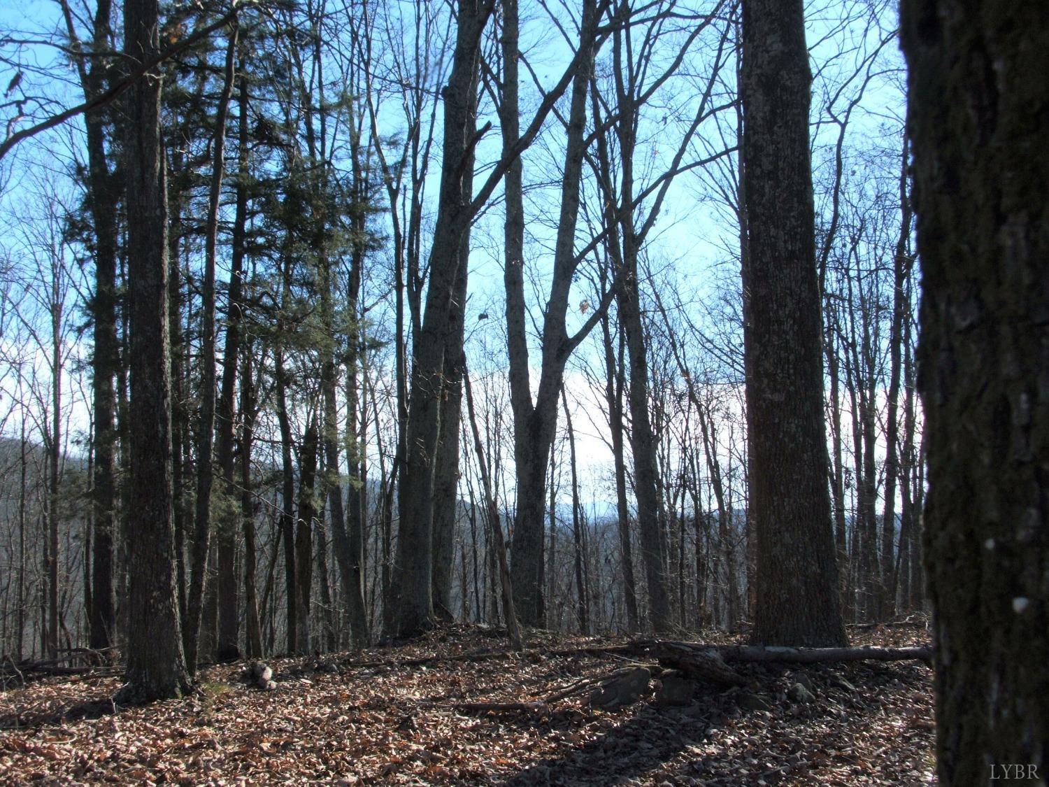 a view of outdoor space with green space