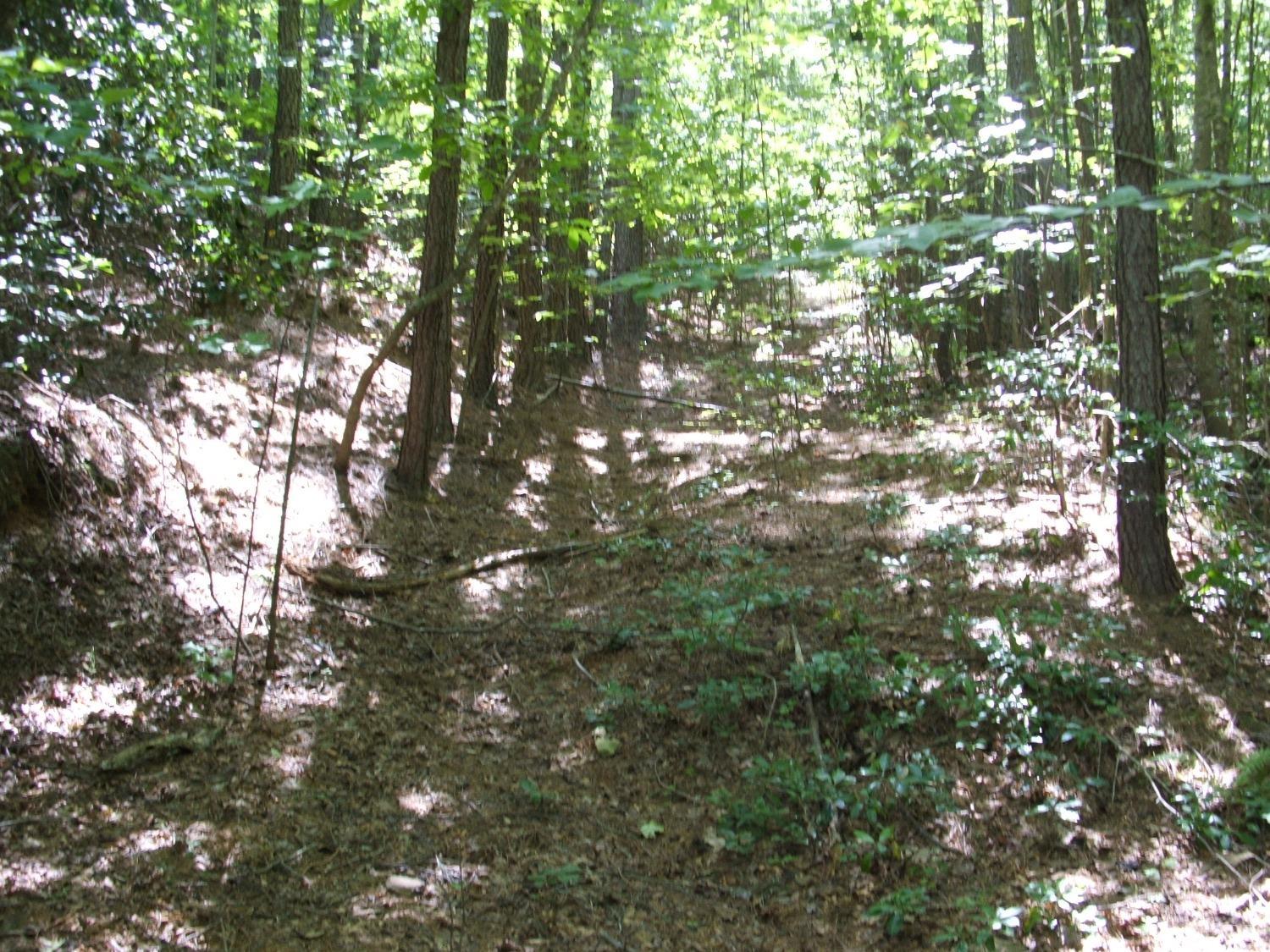 0 Laurel Road Faber, VA 22938 - Photo 5 of 14