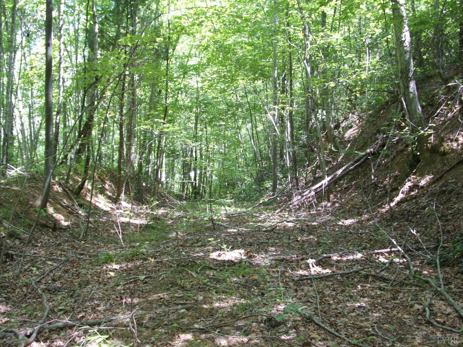 0 Laurel Road Faber, VA 22938 - Photo 6 of 14 a backyard of a house with lots of green space