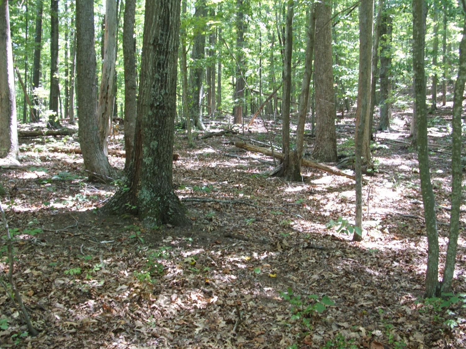 0 Laurel Road Faber, VA 22938 - Photo 8 of 14 a backyard of a house with lots of green space