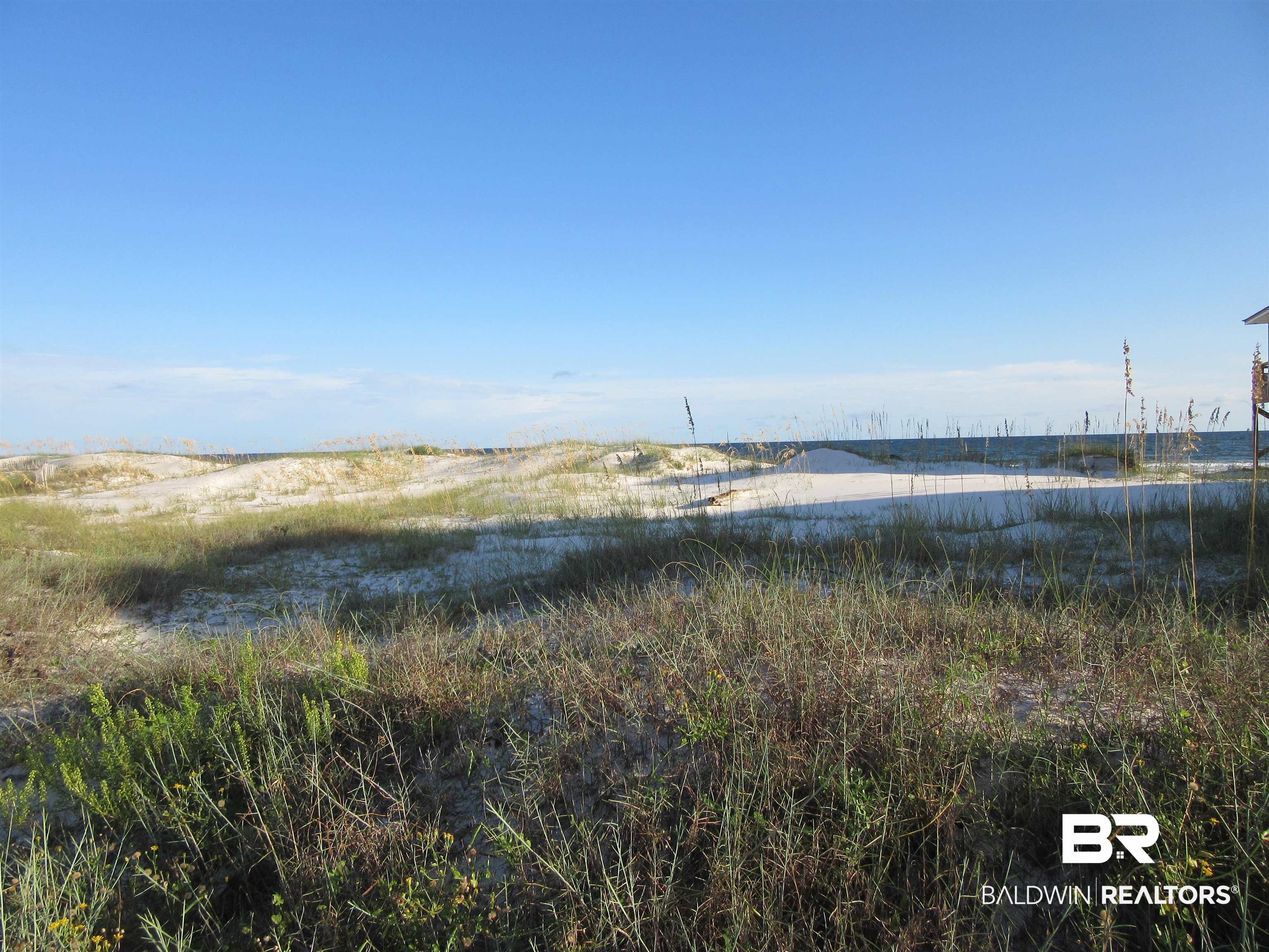 Beach Boulevard Gulf Shores, AL 36542 - Photo 13 of 14 Scrub Oaks
