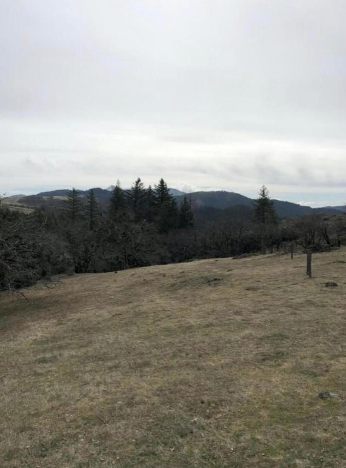 0 Buck Mountain Road Bridgeville, CA 95526 - Photo 1 of 8