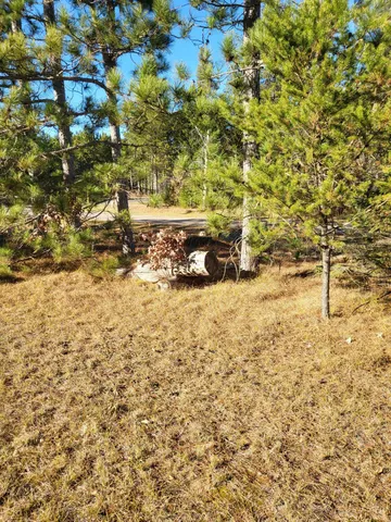 $260,000 | N11612 10th Avenue, Necedah, WI 54646