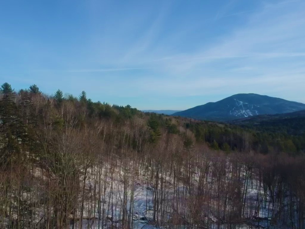 0 Silver Hill Road West Windsor, VT 05089 - Photo 11 of 14
