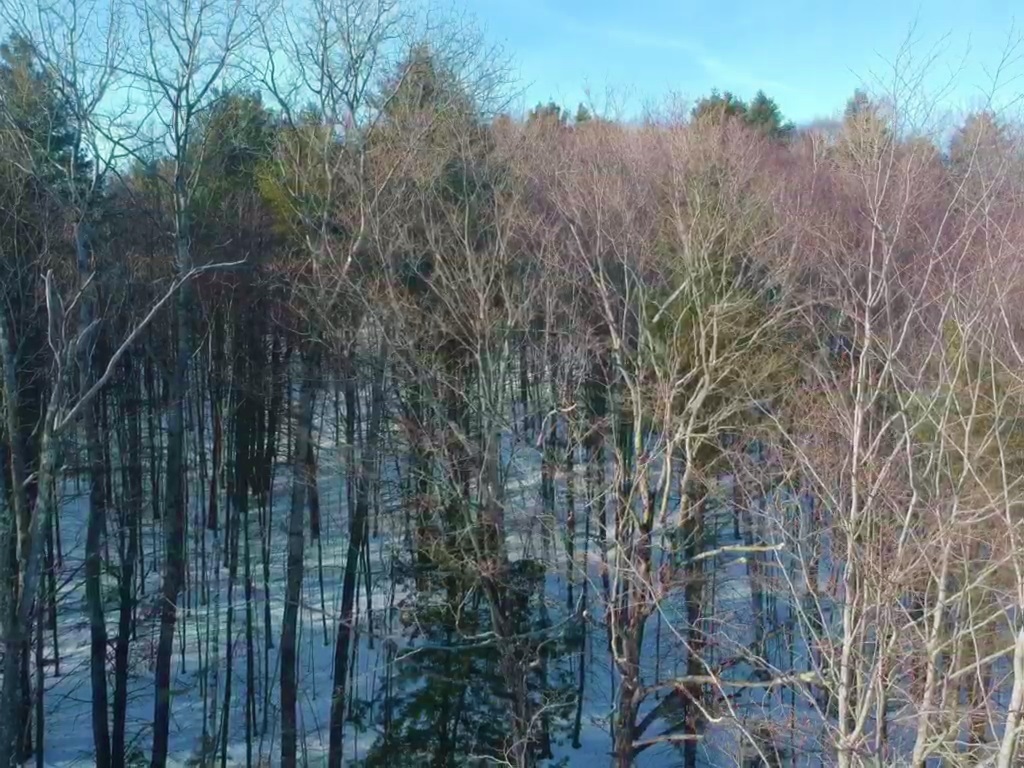 0 Silver Hill Road West Windsor, VT 05089 - Photo 9 of 14