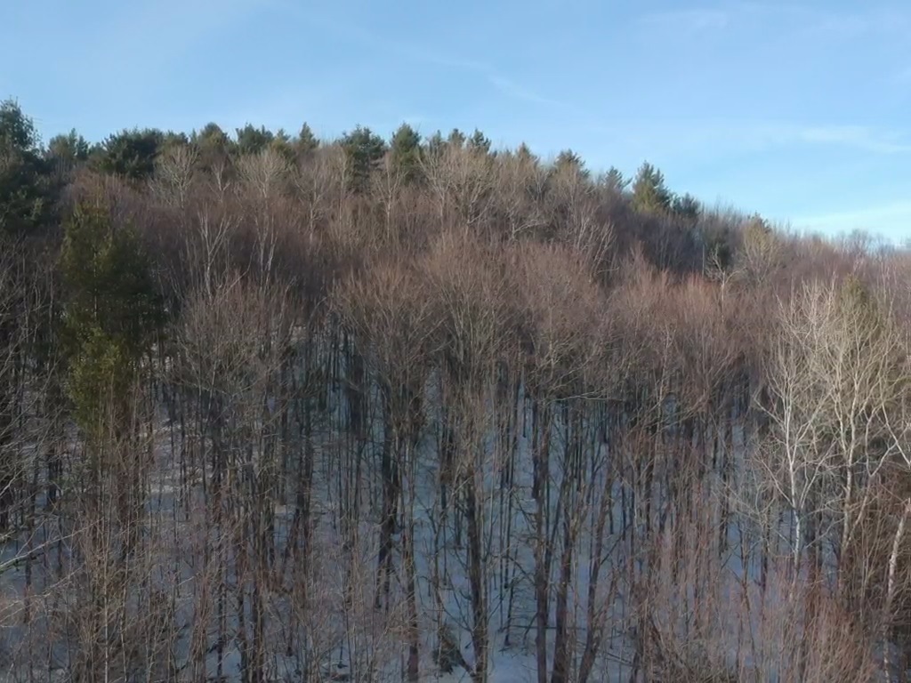 0 Silver Hill Road West Windsor, VT 05089 - Photo 10 of 14
