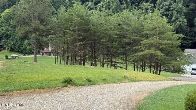 2410 Perilla Road Cosby, TN 37722 - Photo 38 of 50 PARELLA FRONT VIEW