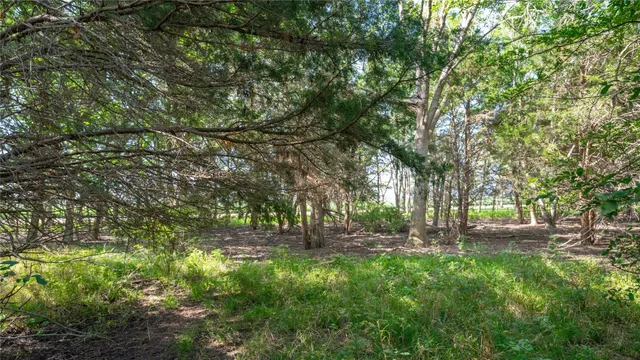 a view of outdoor space with deck and tree