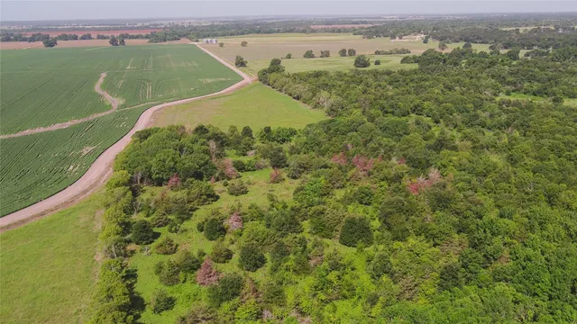 an aerial view of a residential houses with outdoor space and trees