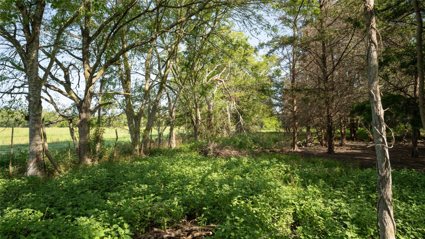 0 Tbd Cameron, TX 76520 - Photo 5 of 31