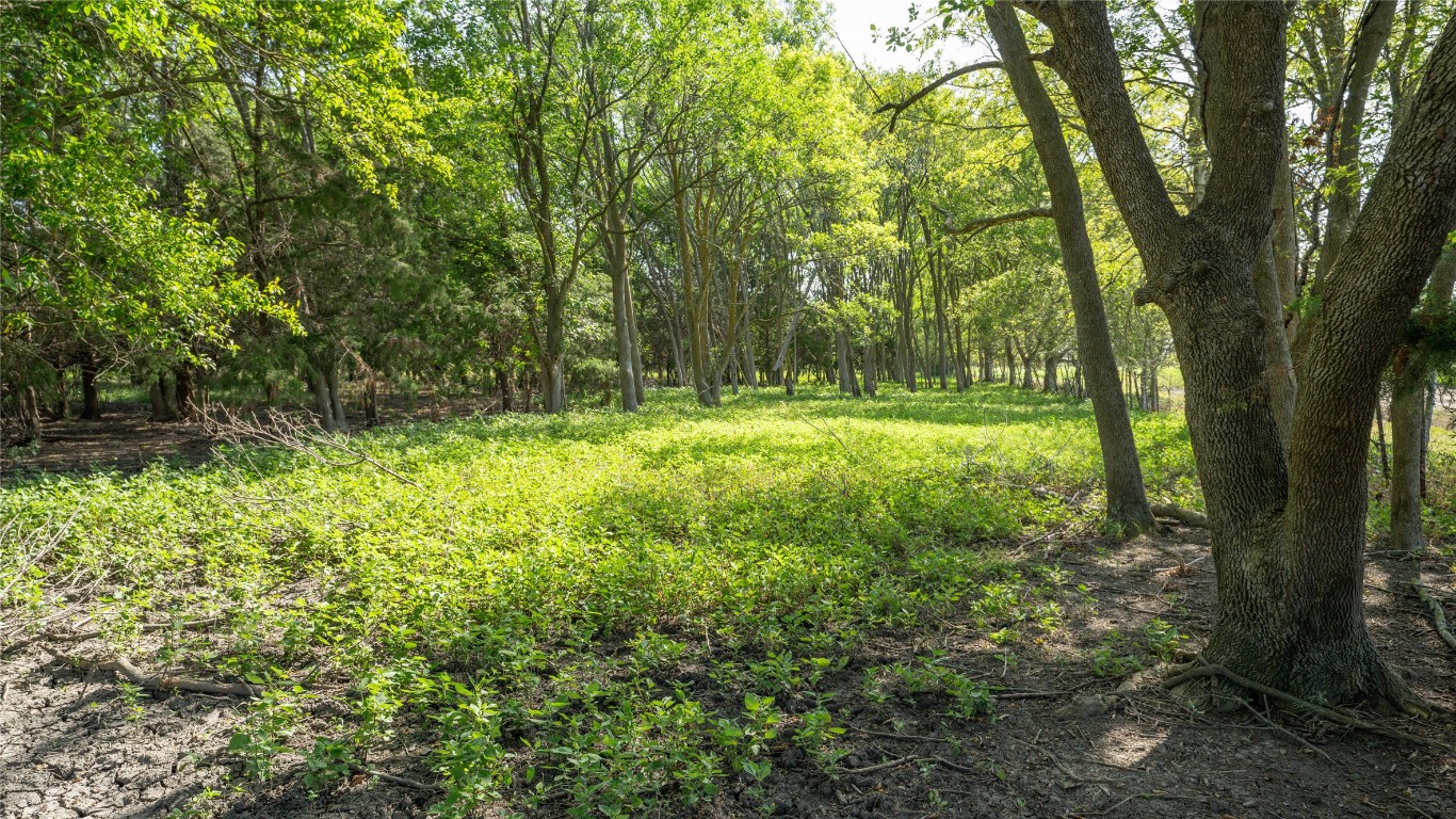 0 Tbd Cameron, TX 76520 - Photo 7 of 31