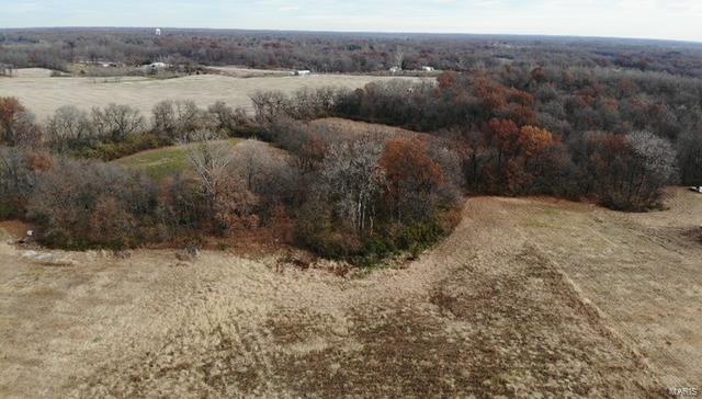 5500 Roach Road Godfrey, IL 62035 - Photo 3 of 19