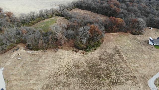 5500 Roach Road Godfrey, IL 62035 - Photo 5 of 19
