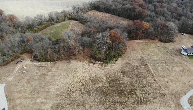 5500 Roach Road Godfrey, IL 62035 - Photo 6 of 19