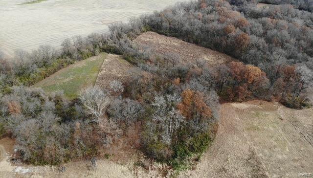 5500 Roach Road Godfrey, IL 62035 - Photo 7 of 19