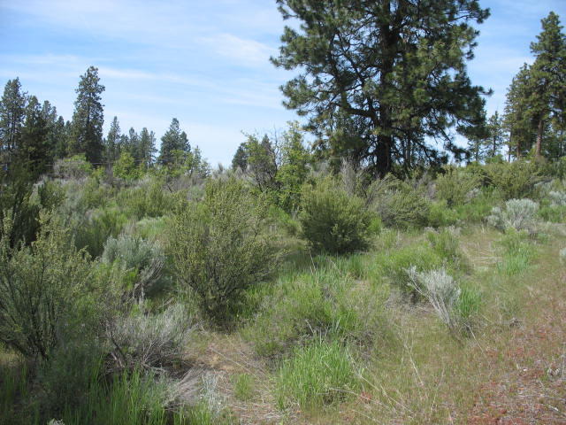 Irving Way, Unit 3 Chiloquin, OR 97624 - Photo 9 of 10 2019-06-10 16.04.14