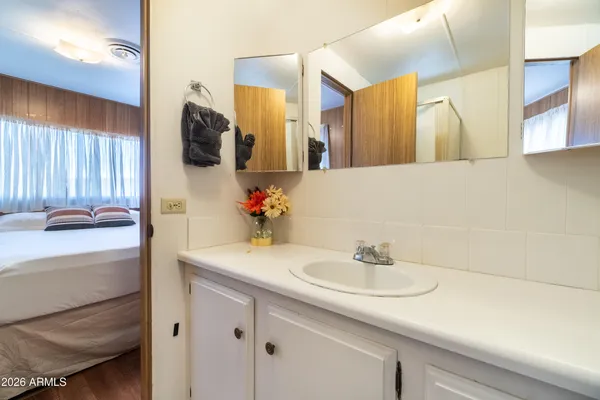 a bathroom with a sink and a mirror