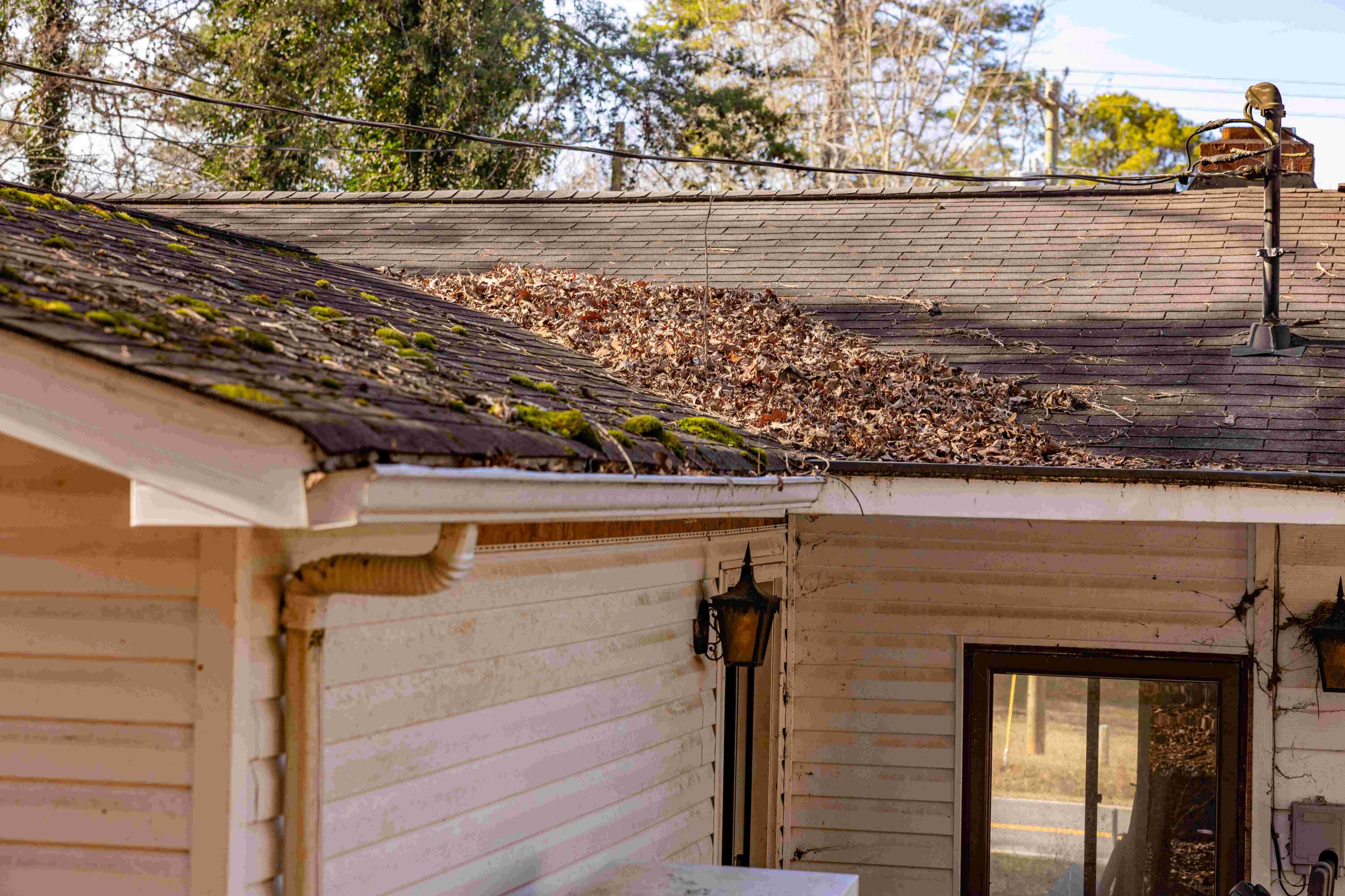 2582 Salem Valley Road Ringgold, GA 30736 - Photo 28 of 48 Final-7126